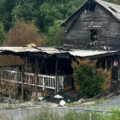 Website & GoFundMe Campaign is launched